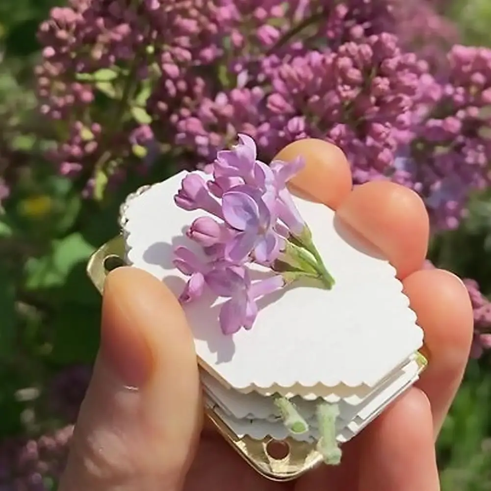 Mini Metal Micro Flower Press Kit Compact DIY Dried Flower Plant Press Preservation Tool for Scrapbooking Crafts Lover Gift