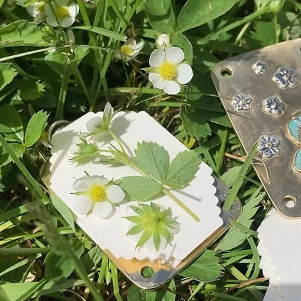 Mini Metal Micro Flower Press Kit Compact DIY Dried Flower Plant Press Preservation Tool for Scrapbooking Crafts Lover Gift