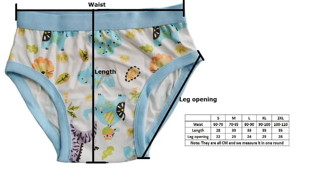 Teddy Man's brief/man's underwear