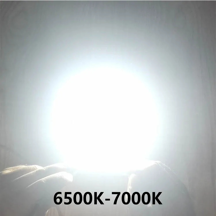LED COB Lamp Bead 10W 20W 30W 50W 100W 150W 200W AC 220V Smart IC No Need Driver DIY Flood Light Led Bulb Spotlight Chip Lamp