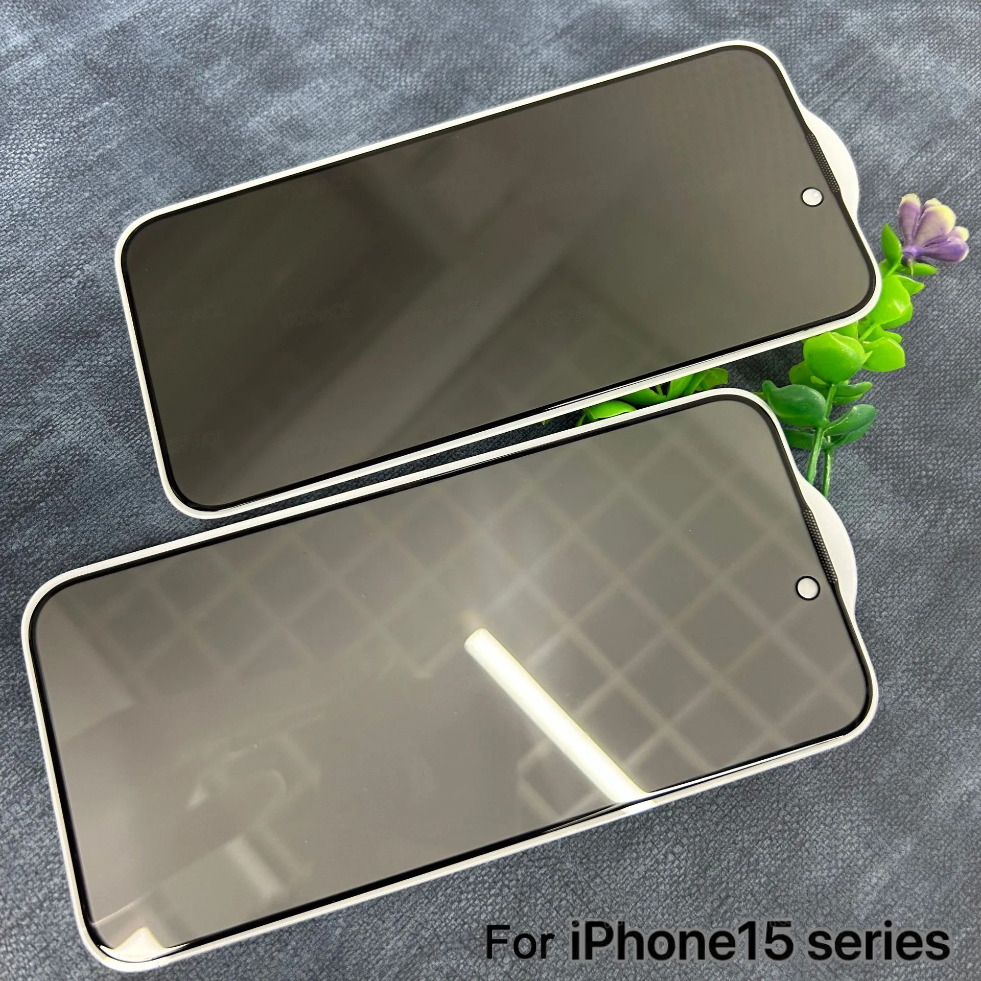 1-3Pcs Dustproof Anti Spy Privacy Tempered Glass for iPhone X XR XS 11 12 13 mini 14 15 16 Pro Max 7 8 Plus SE Screen Protector