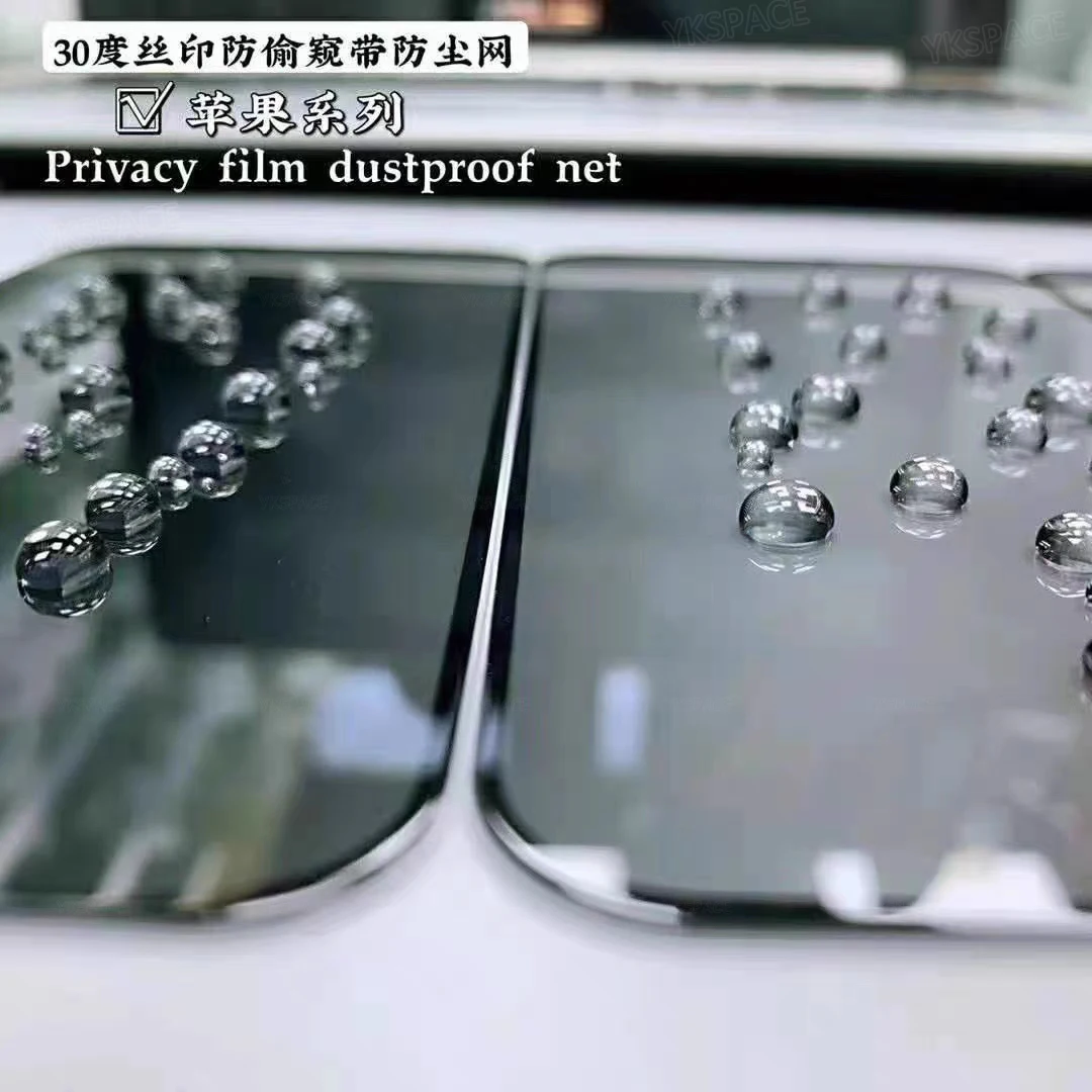 1-3Pcs Dustproof Anti Spy Privacy Tempered Glass for iPhone X XR XS 11 12 13 mini 14 15 16 Pro Max 7 8 Plus SE Screen Protector