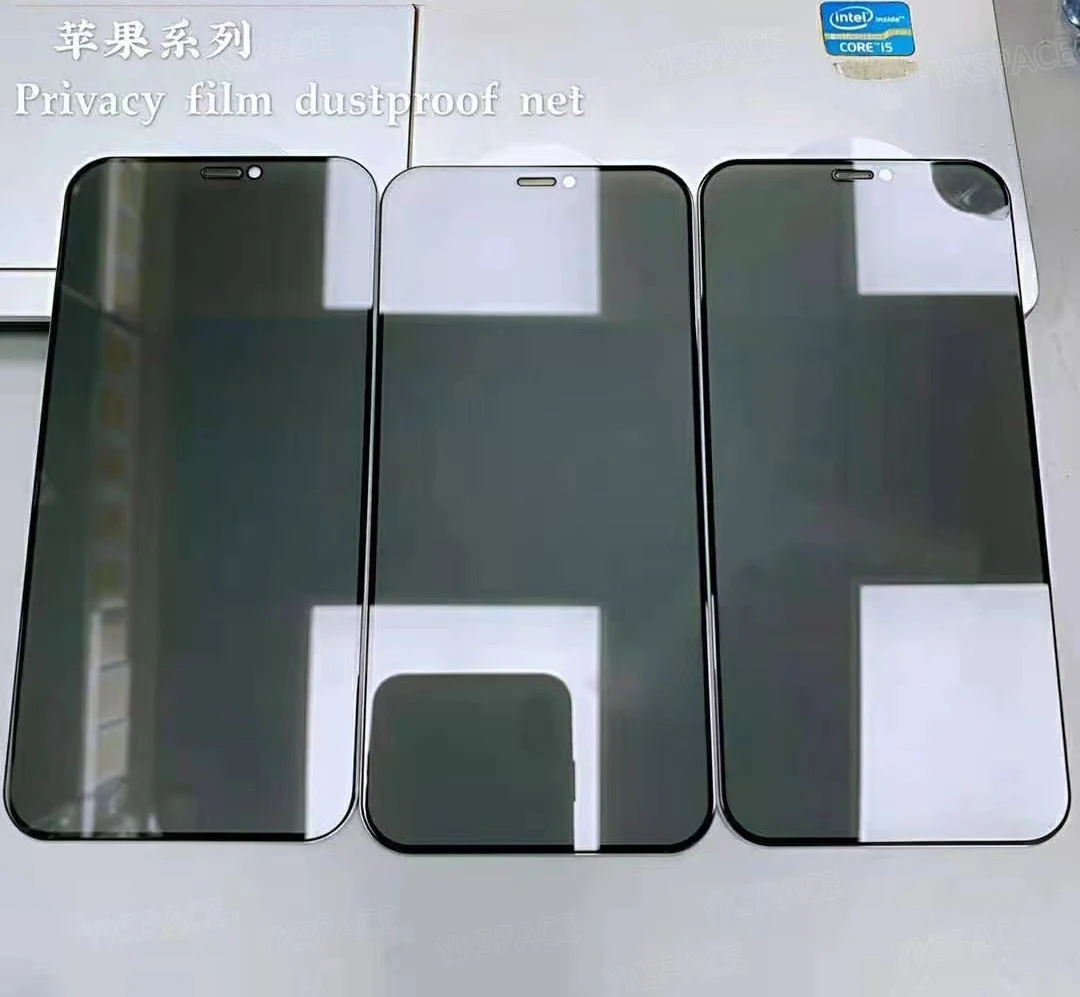 1-3Pcs Dustproof Anti Spy Privacy Tempered Glass for iPhone X XR XS 11 12 13 mini 14 15 16 Pro Max 7 8 Plus SE Screen Protector