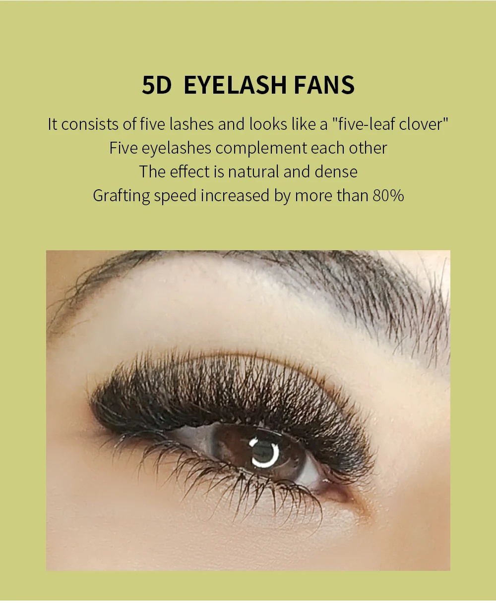 GLAMLASH 4D5D W Style Flower Lash Premade Volume Fans Eyelash Extension Natural Soft Light Lash W Shaped