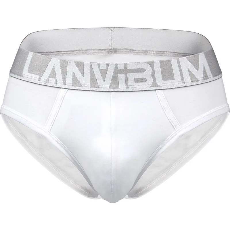 Mens Underwear New Brand Antibacterial Brief Soft Cotton Solid Male Stretch U Convex Pouch Solid Cuecas Shorts Slips Underpants