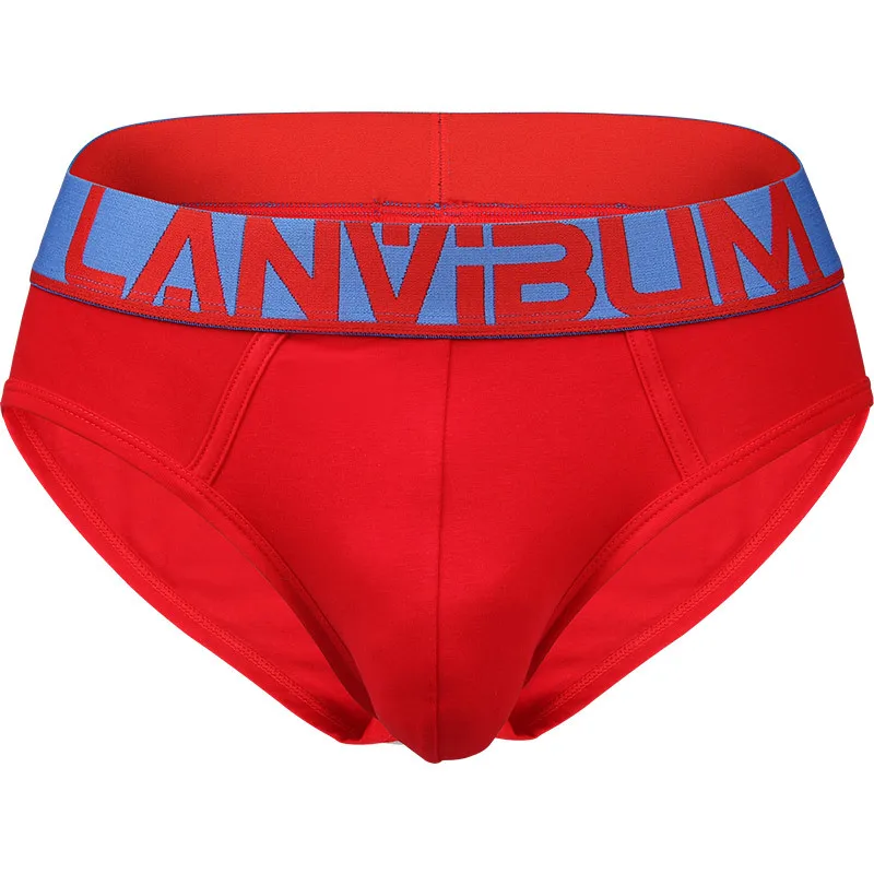Mens Underwear New Brand Antibacterial Brief Soft Cotton Solid Male Stretch U Convex Pouch Solid Cuecas Shorts Slips Underpants