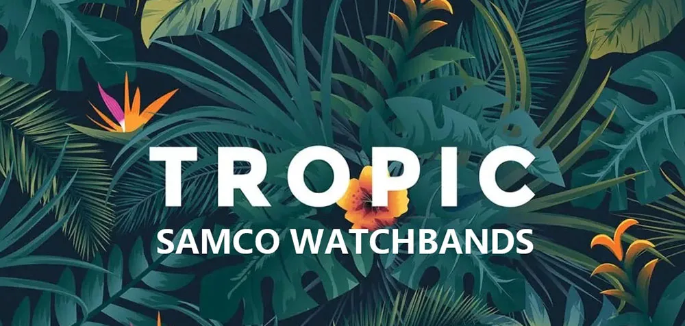 Tropical Silicone Watch Band Quick Release Watch Band 18mm 20mm 22mm Rubber Tropic Smart Watch Strap Waterpfroof Muti-Color