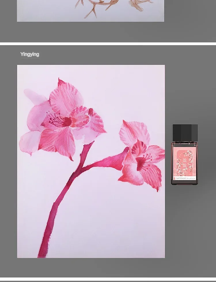 HONGDIAN Fountain Pen Ink 18ml Chinese ink Multicolour Glass Bottled Writing Calligraphy ink Office School Supplies Stationery