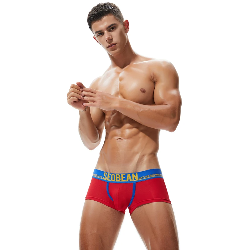 SEOBEAN Mesh Breathable Men's Boxers Sexy Underwear Boxer Shorts Men Underpants Boxershorts Male Panties Boxer for Man