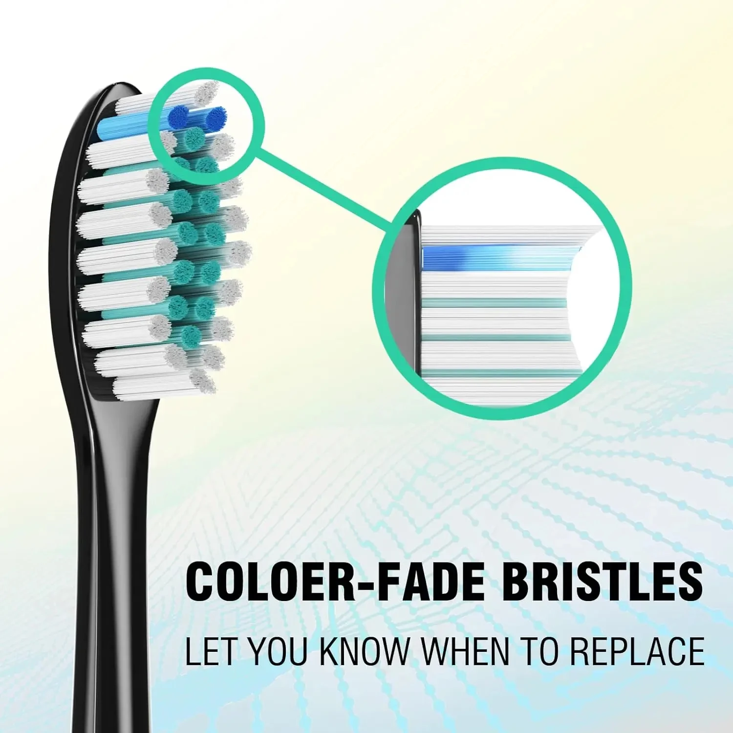 Replacement Brush Heads Compatible with Philips Sonicare DiamondClean HX3/HX6/HX9 Series Electric Toothbrush Heads HX6064