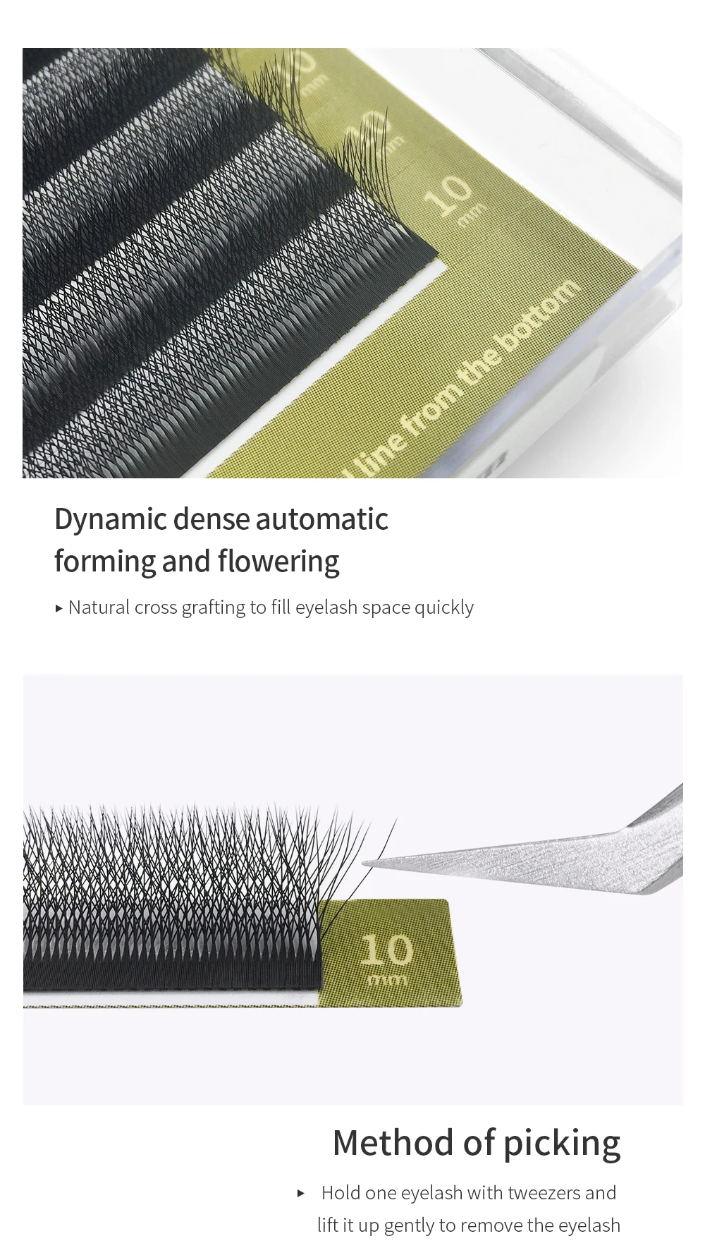 GLAMLASH Brown 3D 4D 5D Eyelashes C/D/L/LU/M Premade Volume Fan W Style Lashes Extension Makeup Tool