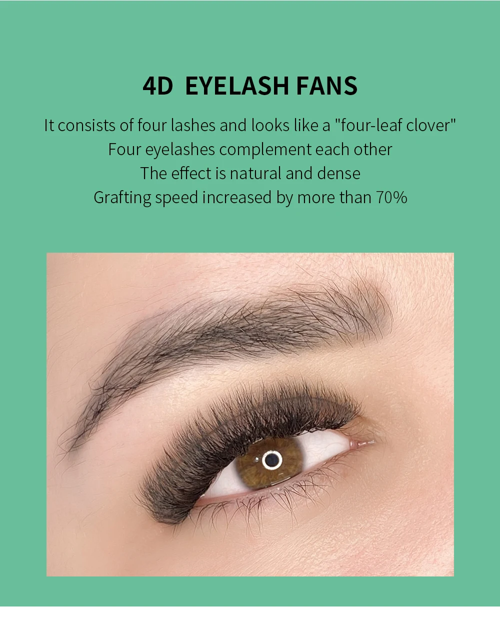 GLAMLASH Brown 3D 4D 5D Eyelashes C/D/L/LU/M Premade Volume Fan W Style Lashes Extension Makeup Tool