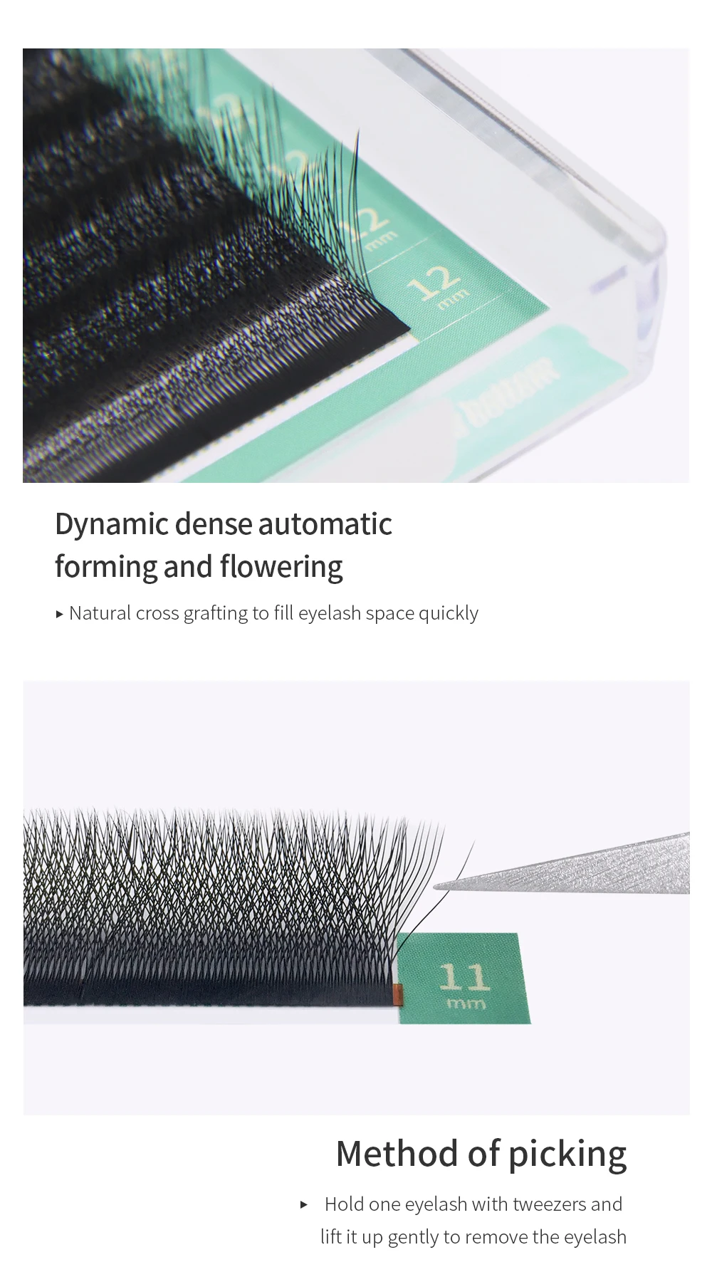 GLAMLASH Brown 3D 4D 5D Eyelashes C/D/L/LU/M Premade Volume Fan W Style Lashes Extension Makeup Tool