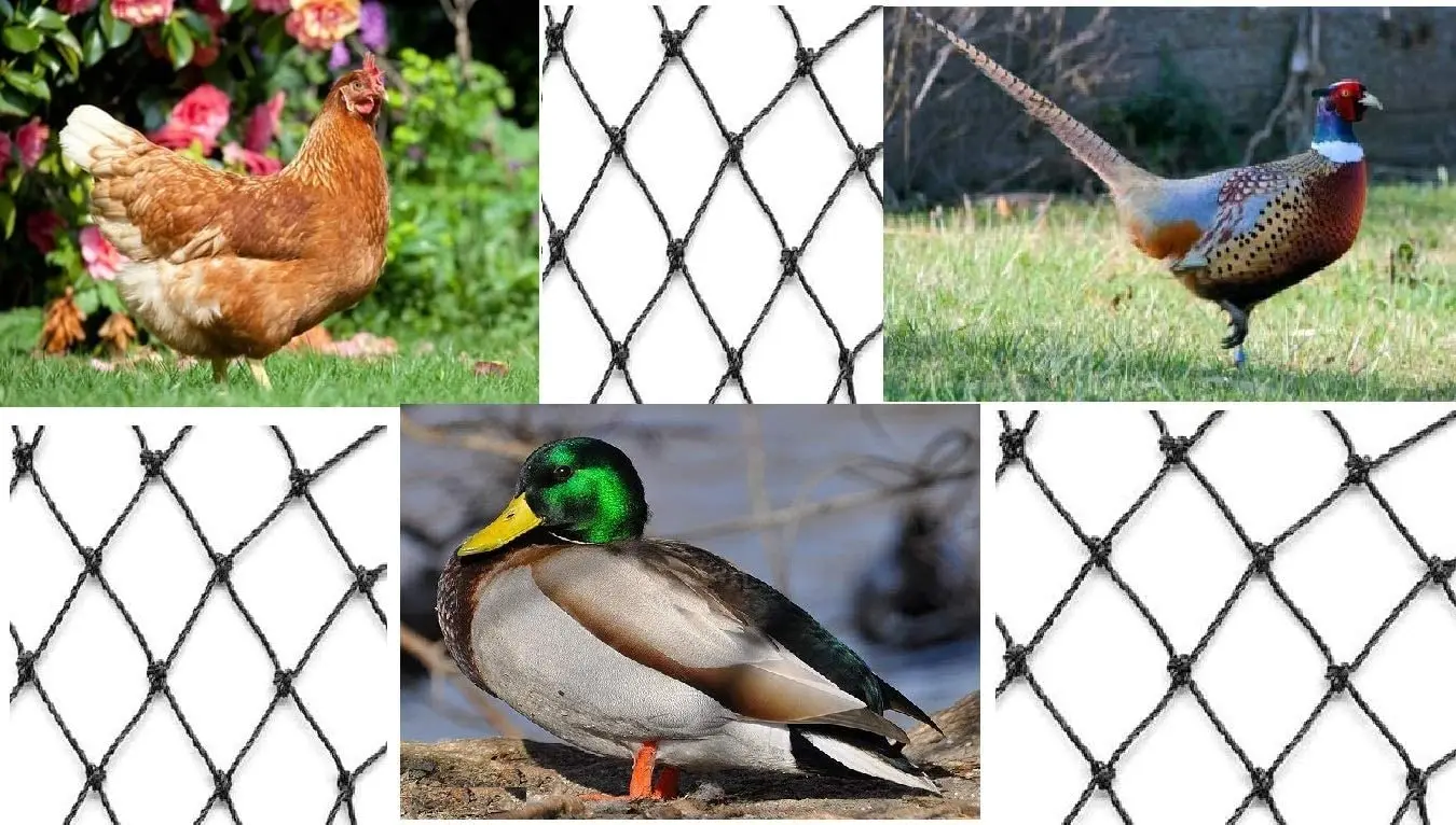 Bird Netting Heavy Duty Anti Bird Deer Protective Net Garden Netting for Crops Protecion Against Birds, Cat ,Deer and Animals