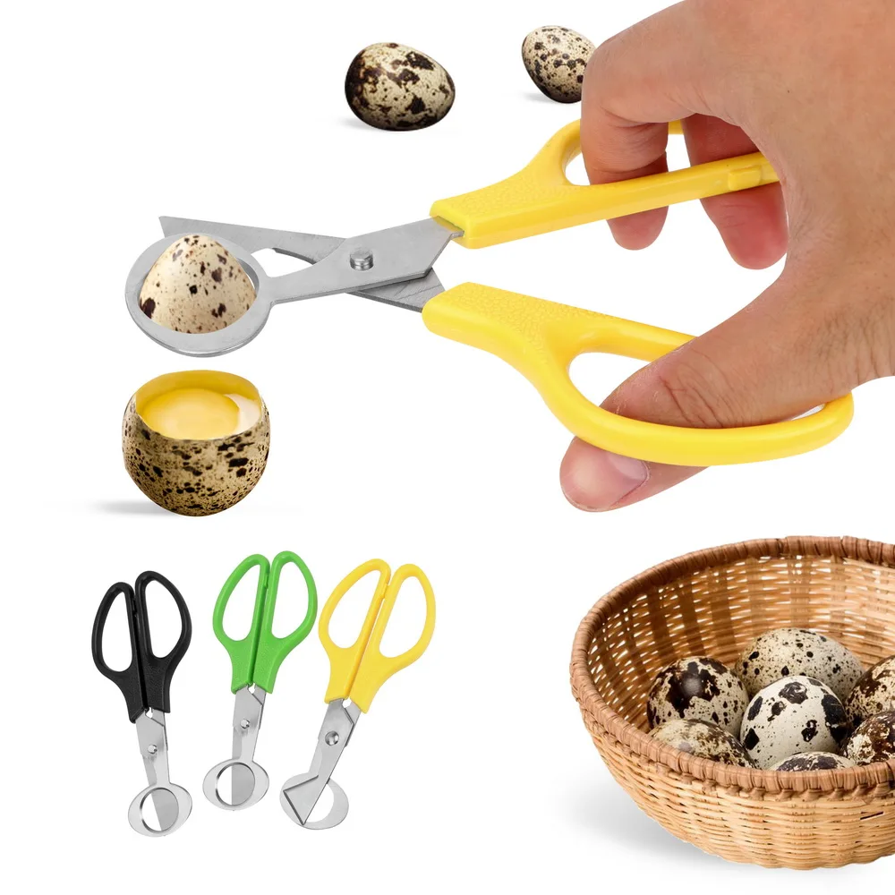 Quail Egg Shell Scissors Rust Resistant Durable Cigar Cutters Multifunction Kitchen Tools Stainless Steel Blade