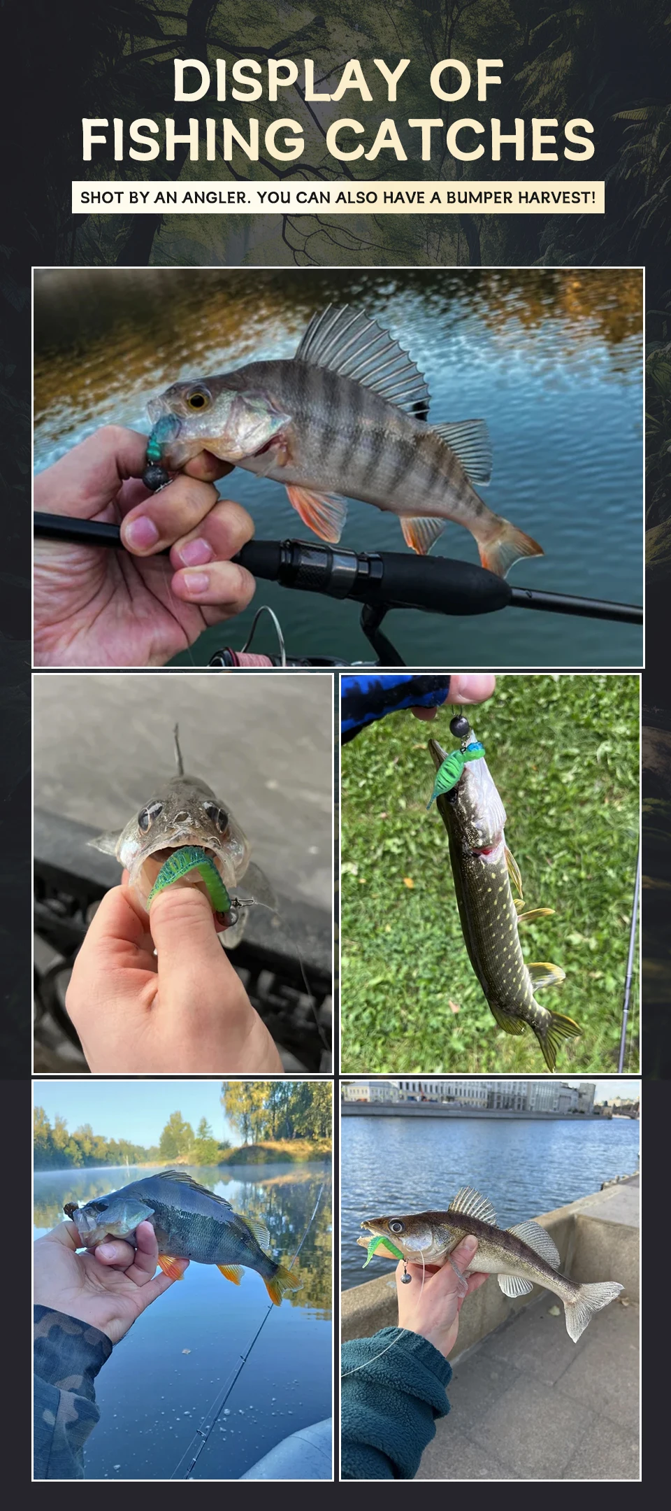 Supercontinent fanatik Lures 80mm/8pcs 55mm/15pcs Soft Lure Fishing Lures Soft Silicone Baits Larva soft bait