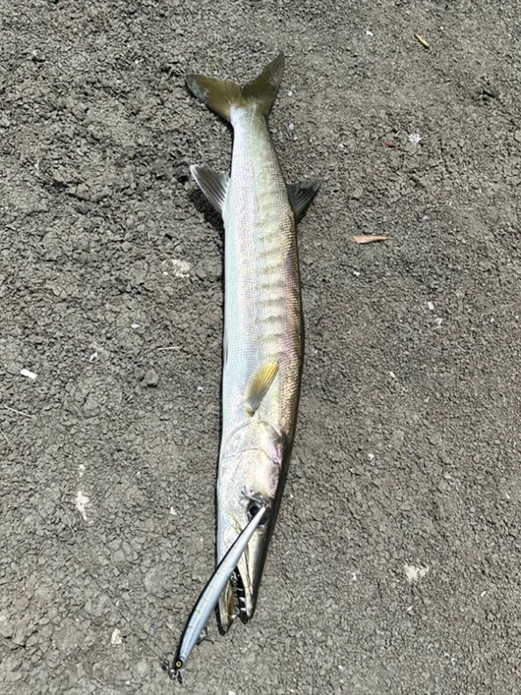 Kingdom Long Casting Fishing Lure 14.5g 19g 29g Floating Slow Sinking Minnow Wobbler Artificial Hard Bait Jerkbaits Seabass Pike