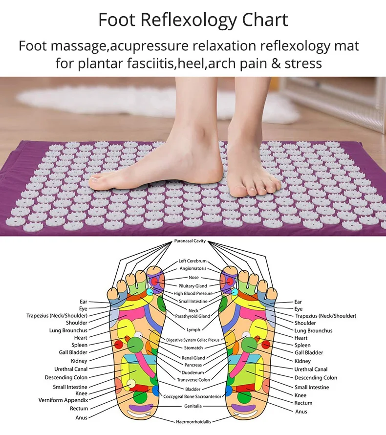 Acupressure Mat Massage Mat Pillow Set Applicator for Neck Foot Yoga Mat with Needle Back Cushion
