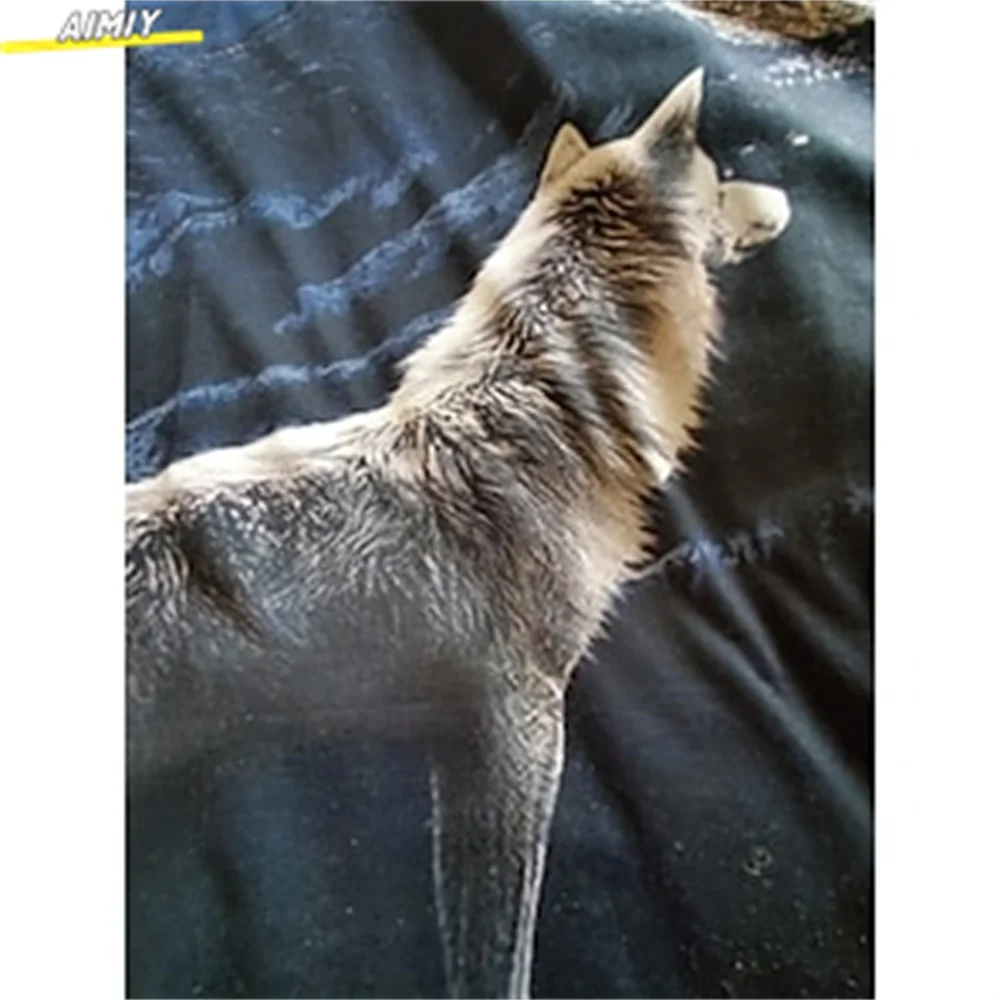 Men's Hipster Wolf 3d Printed T-shirt Printing Short Sleeve Fashion Summer Tee 3D Animal Plus Size Round Neck Daily Holiday Top
