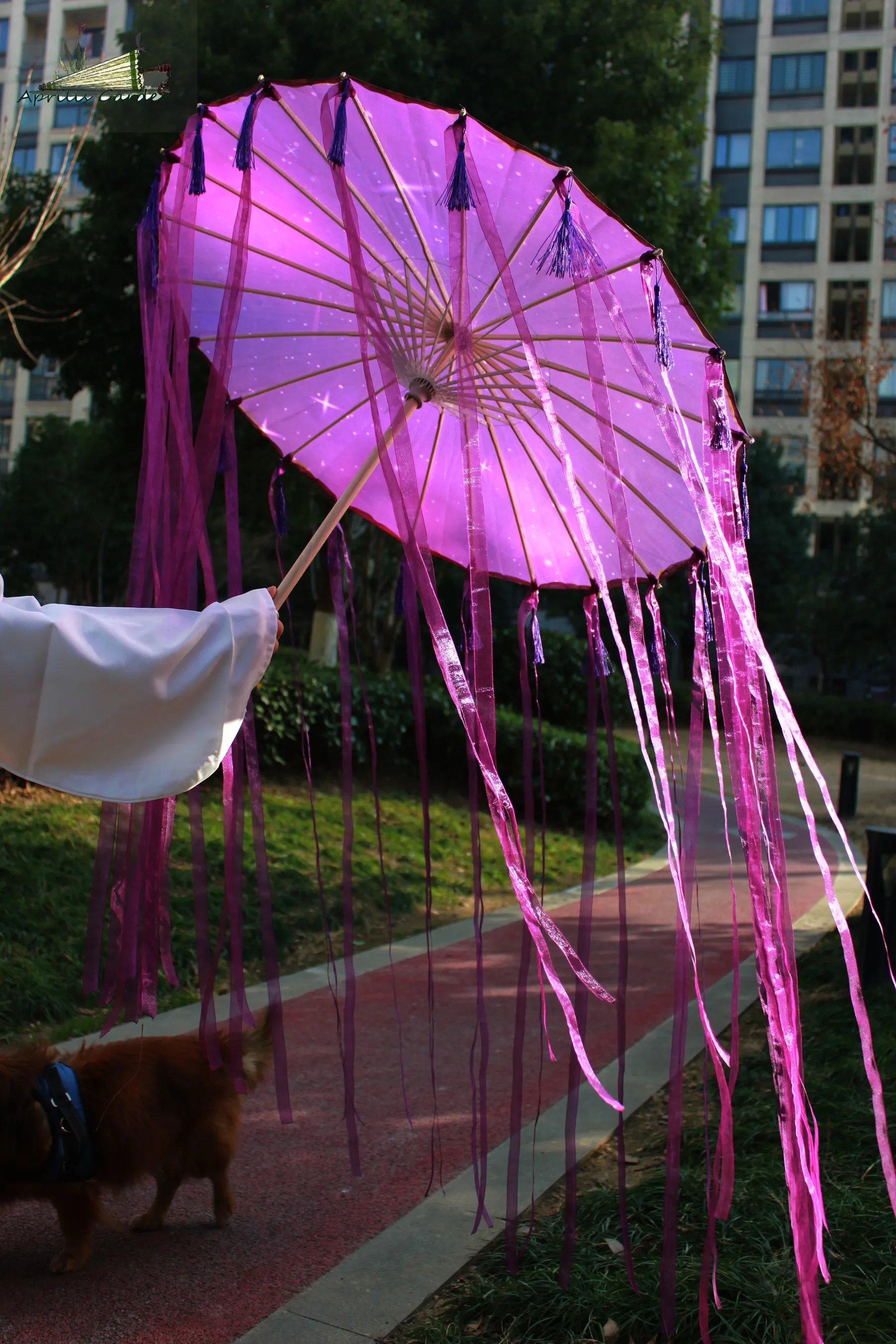 Chinese Dance Performance Lace Umbrella Classical Hanfu Oil Paper Umbrella Fairy Ancient Parasol Paraguas Inverso El Principito