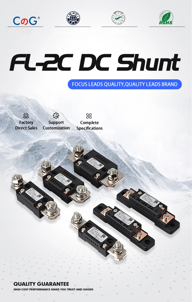 CG FL-2C Shunt 10A 20A 50A 100A 150A 200A 300A 400A 500A 600A 750A 75mV DC Manufacturer With Base Ammeter Current Shunt Resistor