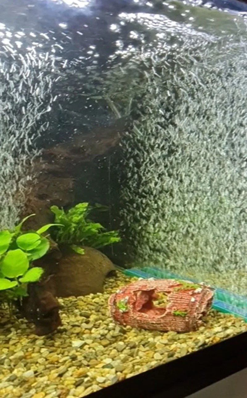 10/15/20/25/30/35/40cm Air Pump Sand Stone Aquarium Oxygen Pump Fresh Air Stone Bubble Bar Aquarium Fish Tank Aerator Pump