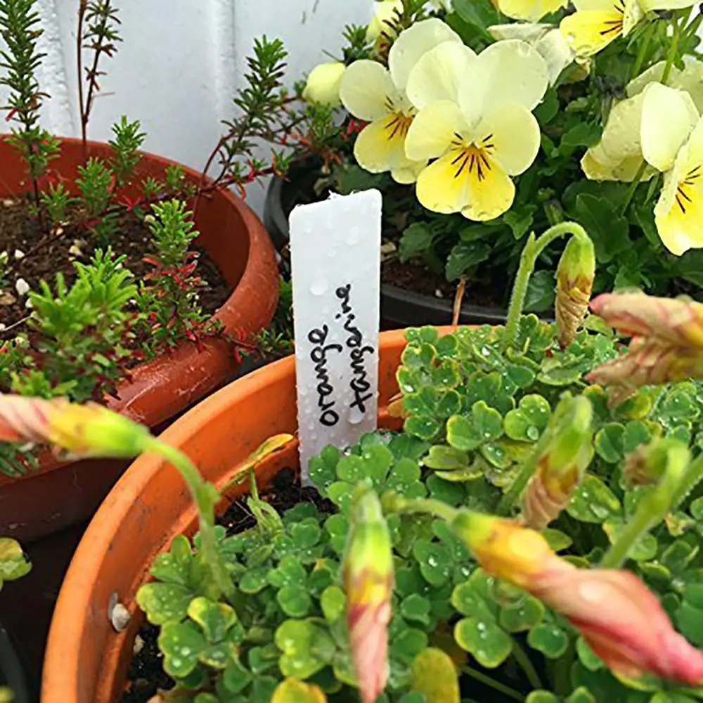 100pcs Garden Plant Labels PVC Plant Tags Nursery Markers Flower Pots Seedling Labels Tray Mark Tools Pot Waterproof Mix Colors