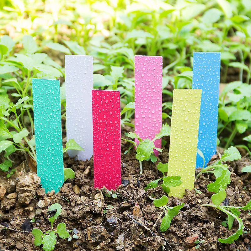 100pcs Garden Plant Labels PVC Plant Tags Nursery Markers Flower Pots Seedling Labels Tray Mark Tools Pot Waterproof Mix Colors