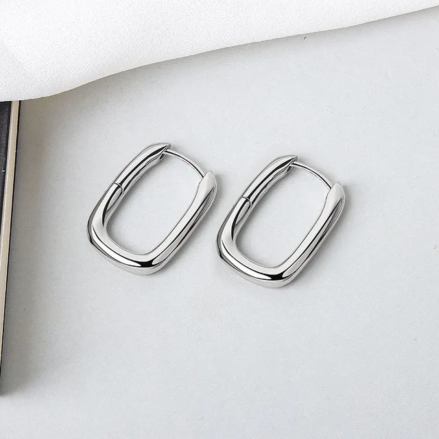 XIYANIKE Silver Color French Punk Hip-Hop Geometric Small Hoop Earrings for Women Gold Silver Party Jewelry Accessories