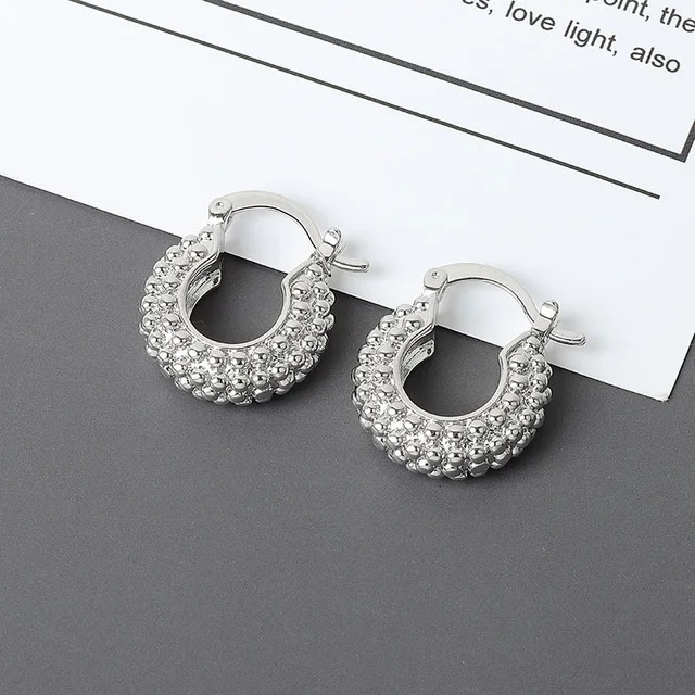 XIYANIKE Silver Color French Punk Hip-Hop Geometric Small Hoop Earrings for Women Gold Silver Party Jewelry Accessories