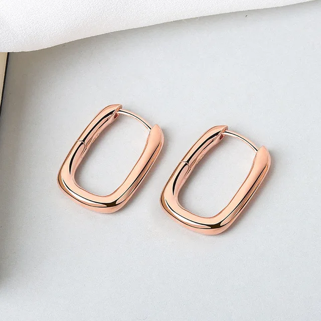 XIYANIKE Silver Color French Punk Hip-Hop Geometric Small Hoop Earrings for Women Gold Silver Party Jewelry Accessories