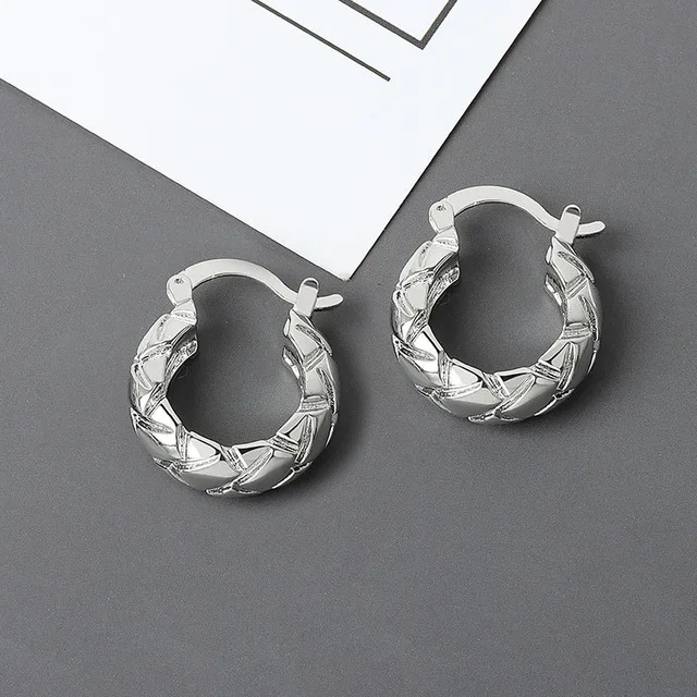 XIYANIKE Silver Color French Punk Hip-Hop Geometric Small Hoop Earrings for Women Gold Silver Party Jewelry Accessories