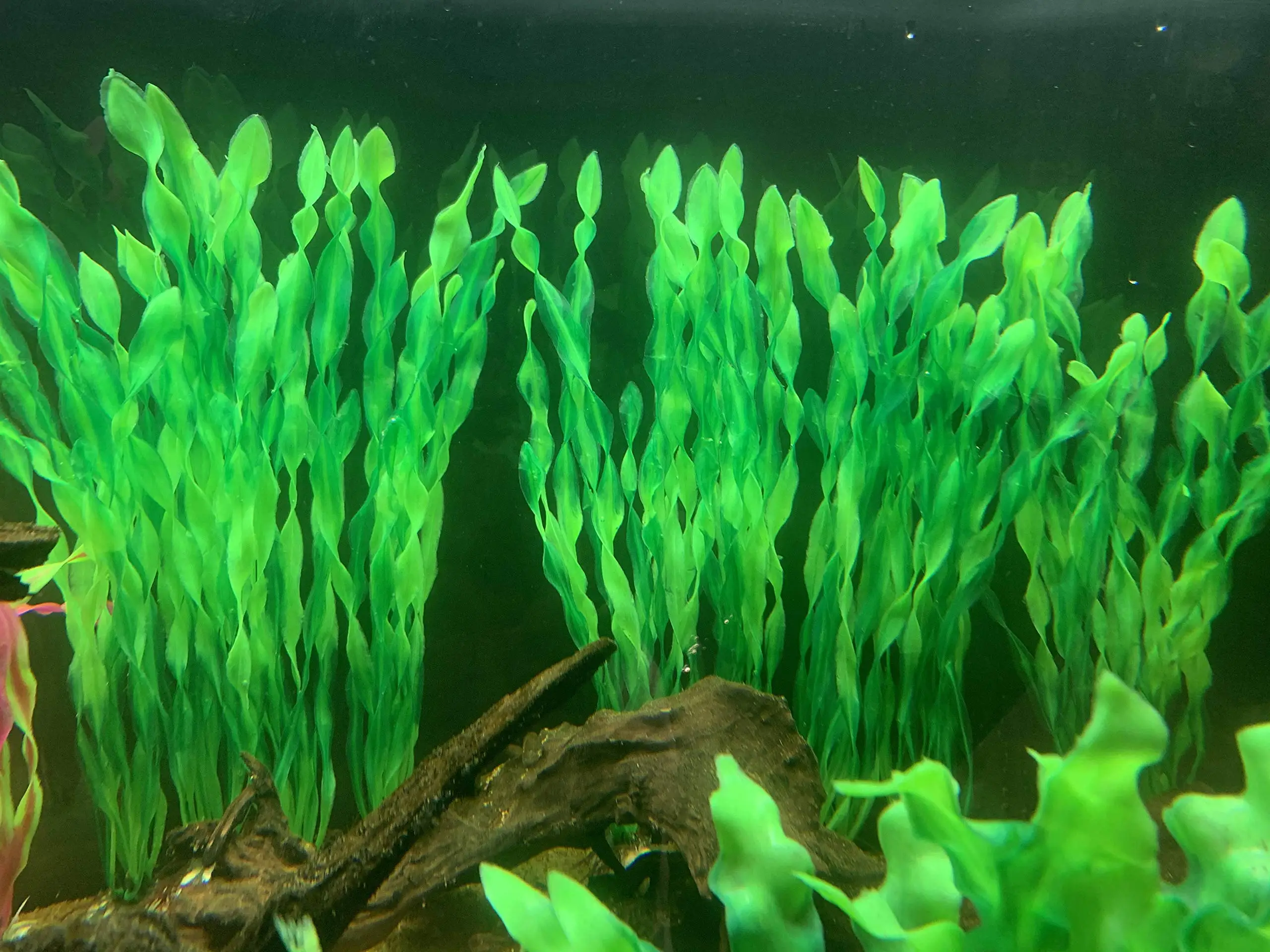 5/10pcs Plastic Aquarium Plants Fish Tank Decorations Artificial Seaweed Water Grass Underwater Plants Aquarium Accessories