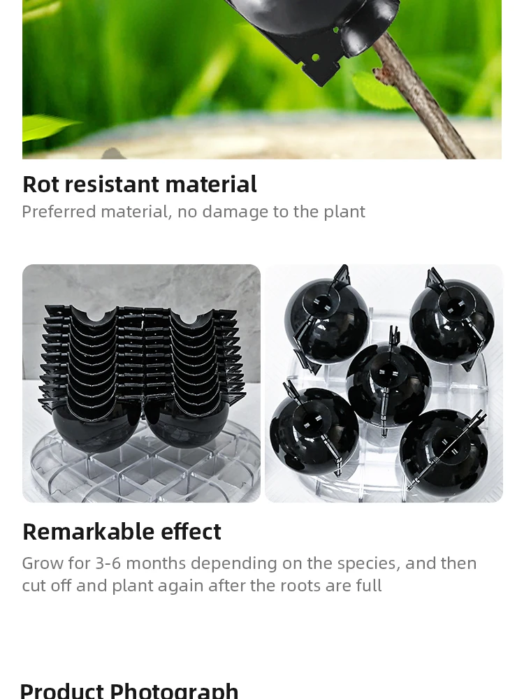 10Pcs Plant Rooting Ball Propagation Rooting Box Reusable Plant Root Growing Box Cuttings Grafting Rooting Propagation Pots