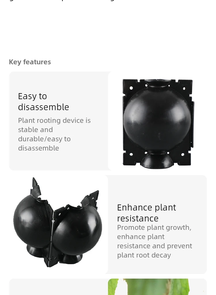 10Pcs Plant Rooting Ball Propagation Rooting Box Reusable Plant Root Growing Box Cuttings Grafting Rooting Propagation Pots