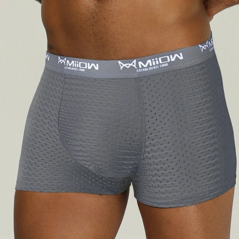 MiiOW Sexy Mesh Men Boxers Underwear Breathable Ice Silk Men's Panties Lingerie Underpants Boxershorts Plus Size L-4XL Trunks
