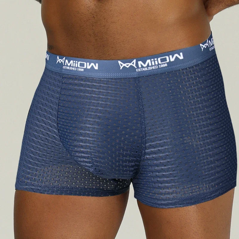 MiiOW Sexy Mesh Men Boxers Underwear Breathable Ice Silk Men's Panties Lingerie Underpants Boxershorts Plus Size L-4XL Trunks