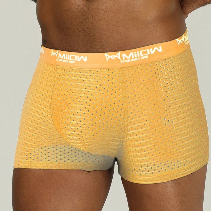 MiiOW Sexy Mesh Men Boxers Underwear Breathable Ice Silk Men's Panties Lingerie Underpants Boxershorts Plus Size L-4XL Trunks