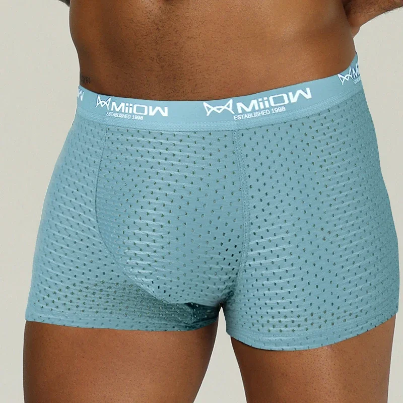 MiiOW Sexy Mesh Men Boxers Underwear Breathable Ice Silk Men's Panties Lingerie Underpants Boxershorts Plus Size L-4XL Trunks