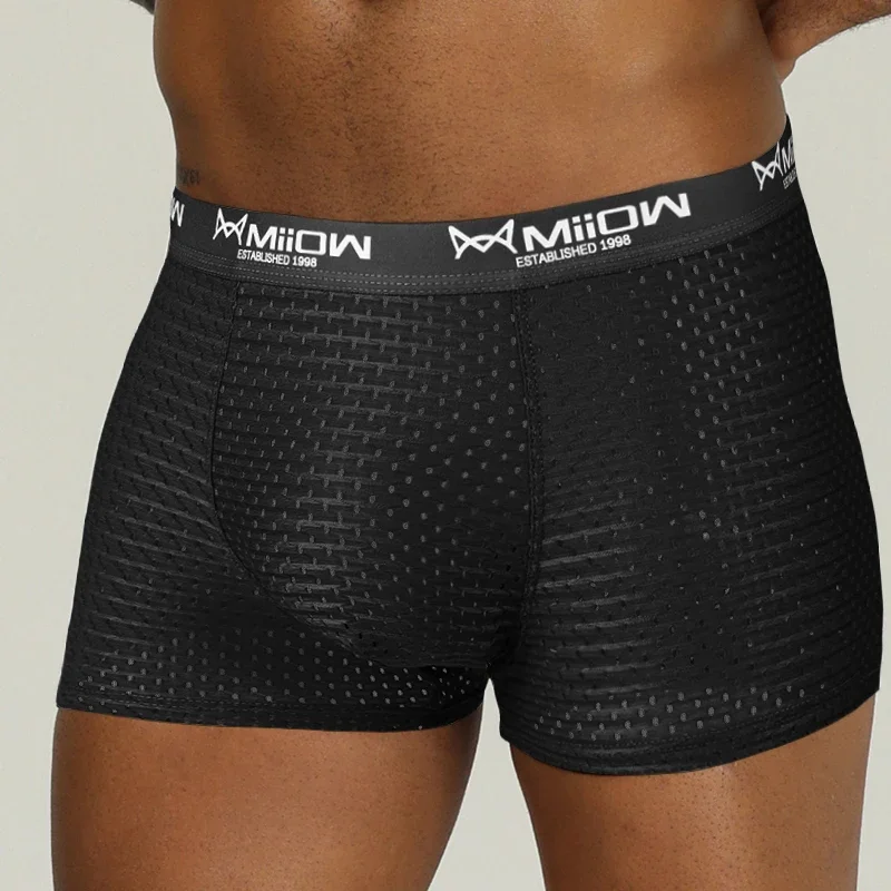 MiiOW Sexy Mesh Men Boxers Underwear Breathable Ice Silk Men's Panties Lingerie Underpants Boxershorts Plus Size L-4XL Trunks