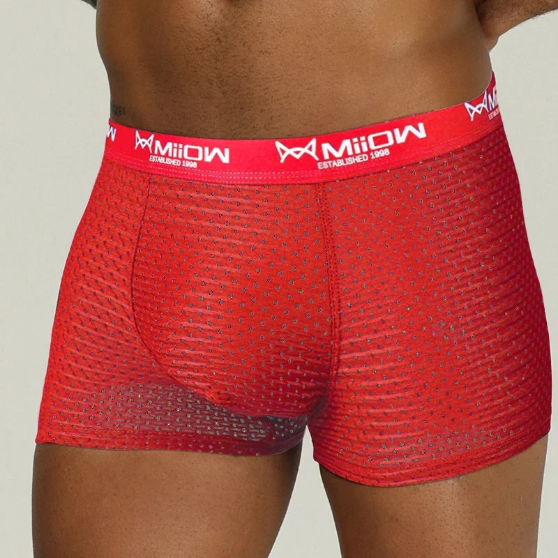 MiiOW Sexy Mesh Men Boxers Underwear Breathable Ice Silk Men's Panties Lingerie Underpants Boxershorts Plus Size L-4XL Trunks