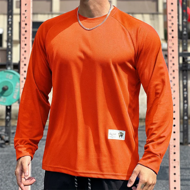 High Quality Autumn Men Long Sleeved T-Shirt Fashion Sport Round Collar Fitness Running Mesh Breathability Training T-Shirt Men