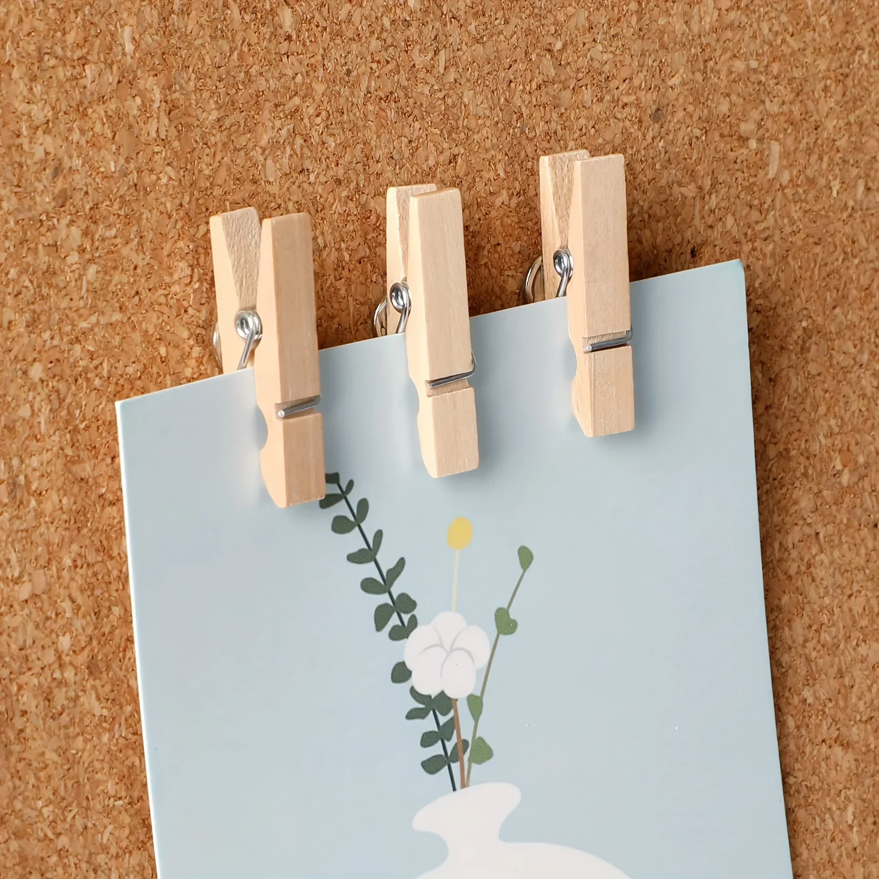 50Pcs/Box Pushpin Wooden Shelf Suit Transparent Easy to Store Carry Multi-Purpose Suitable Handicraft Decoration Accessories