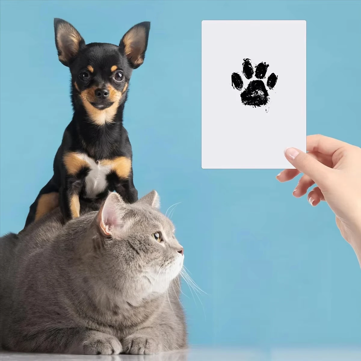 1/5set First Footprints Printing Kit of New-life & Pet Paw Souvenir Supplies for New Parents Keepsakes Memories Gifts Wash-Free