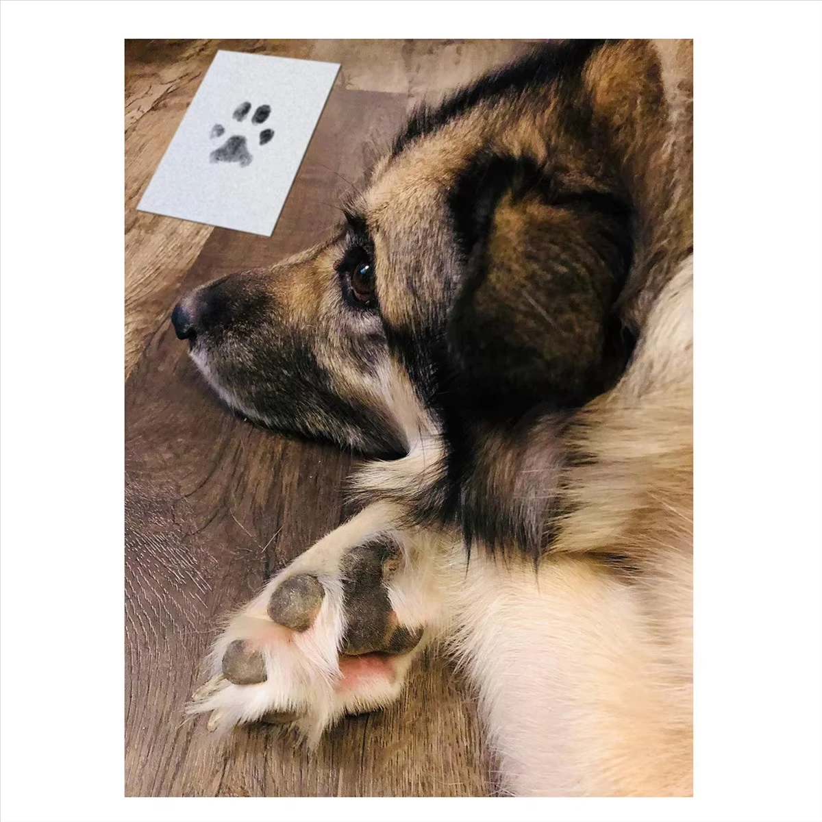 1/5set First Footprints Printing Kit of New-life & Pet Paw Souvenir Supplies for New Parents Keepsakes Memories Gifts Wash-Free