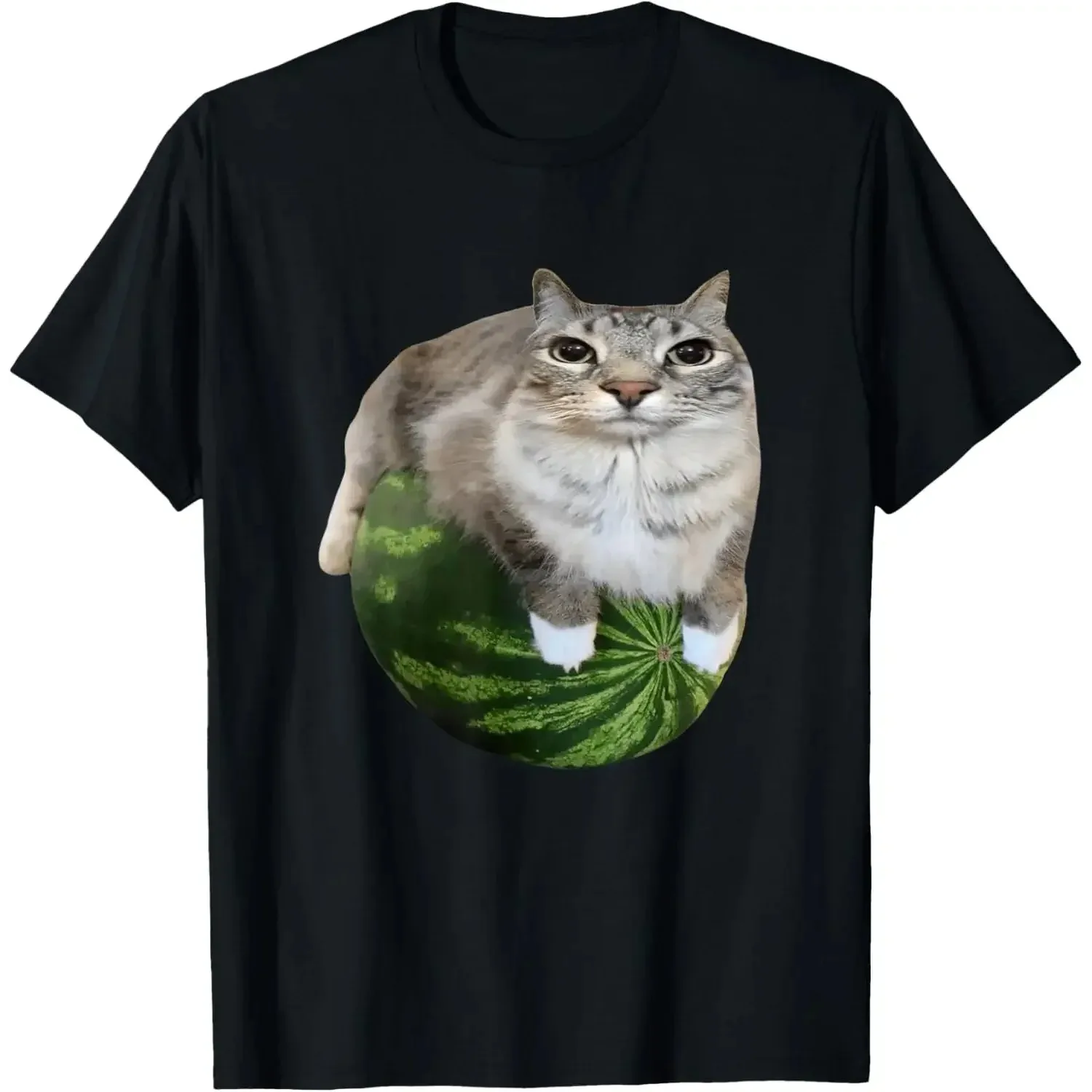 90s Y2k Watermelon Cat Silly Cat Meme T-Shirt A Hilarious Watermelon Print Shirt Is A Stylish Top Tee Women