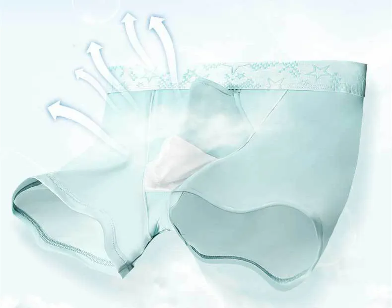Mens Underpants Boxer Shorts Homme Thin Ice Silk Panties Man Breathable Bullet Separation Pouch Underwear Cueca Calzoncillo