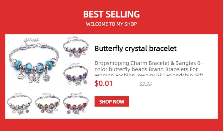 Papa Snap Brand Women Bracelet Colorful Crystal Charm Bracelet for Women DIY Beads Bracelets & Bangles Jewelry Gift