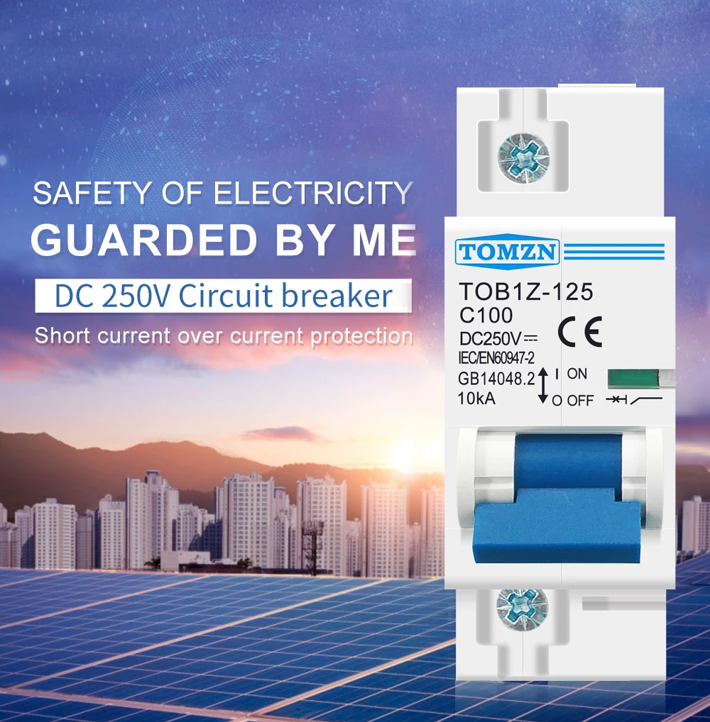 1PCS TOMZN 1P DC MCB 250V 80A 100A 125A Circuit Breaker PV System C curve Battery Main Switch