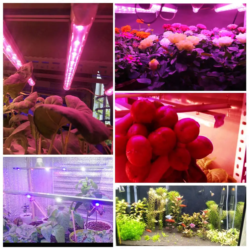 10pcs LED Chip 1W 3W 5W Warm Cool White Red Blue Green Yellow Full Spectrum 660nm 440nm COB Grow Lamp For 1 3 5 Watt Light Beads